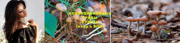 гидропоника Баксан