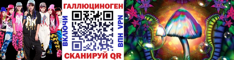 Галлюциногенные грибы Psilocybine cubensis  Ясногорск 